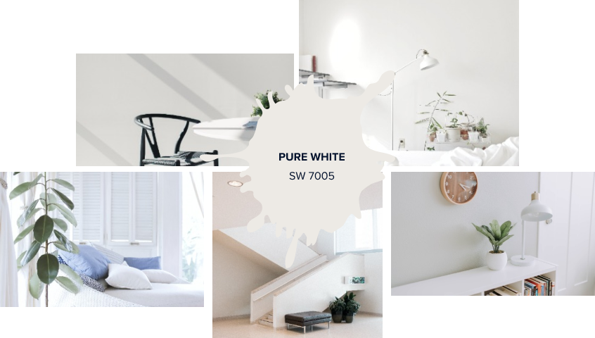 Pure white color image with the sample painted rooms